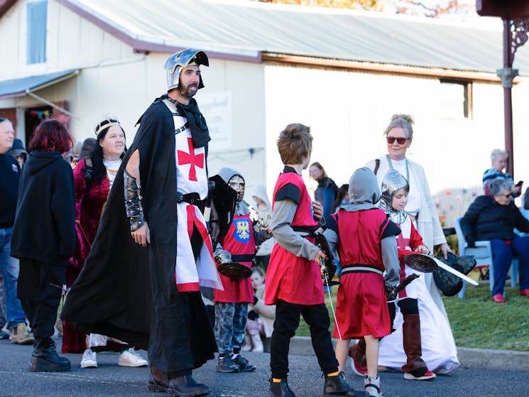 a group of adults and children dressed as mediaeval knights walk in the street
