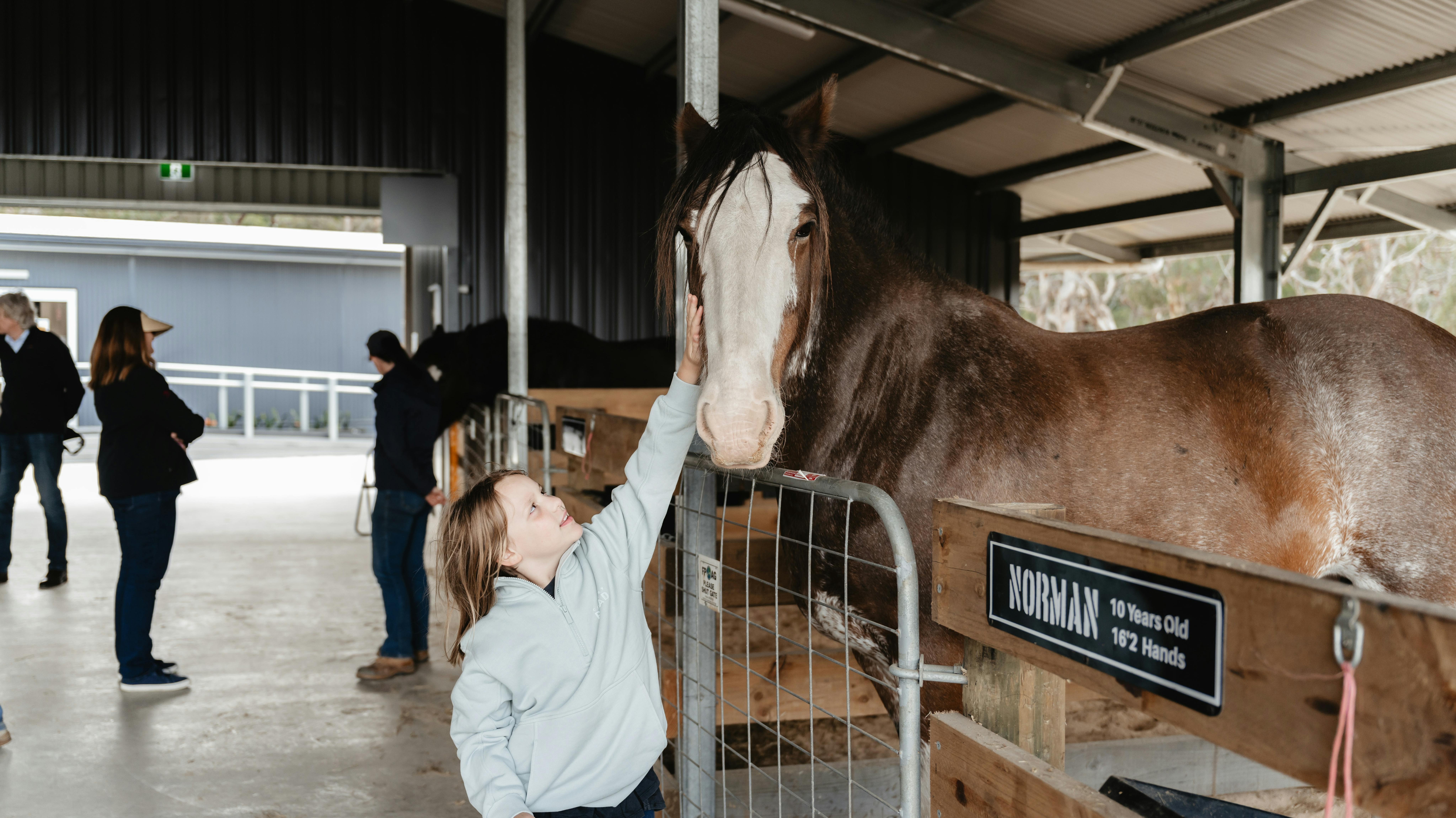 The Stables of the Victor Harbor Horse Tram