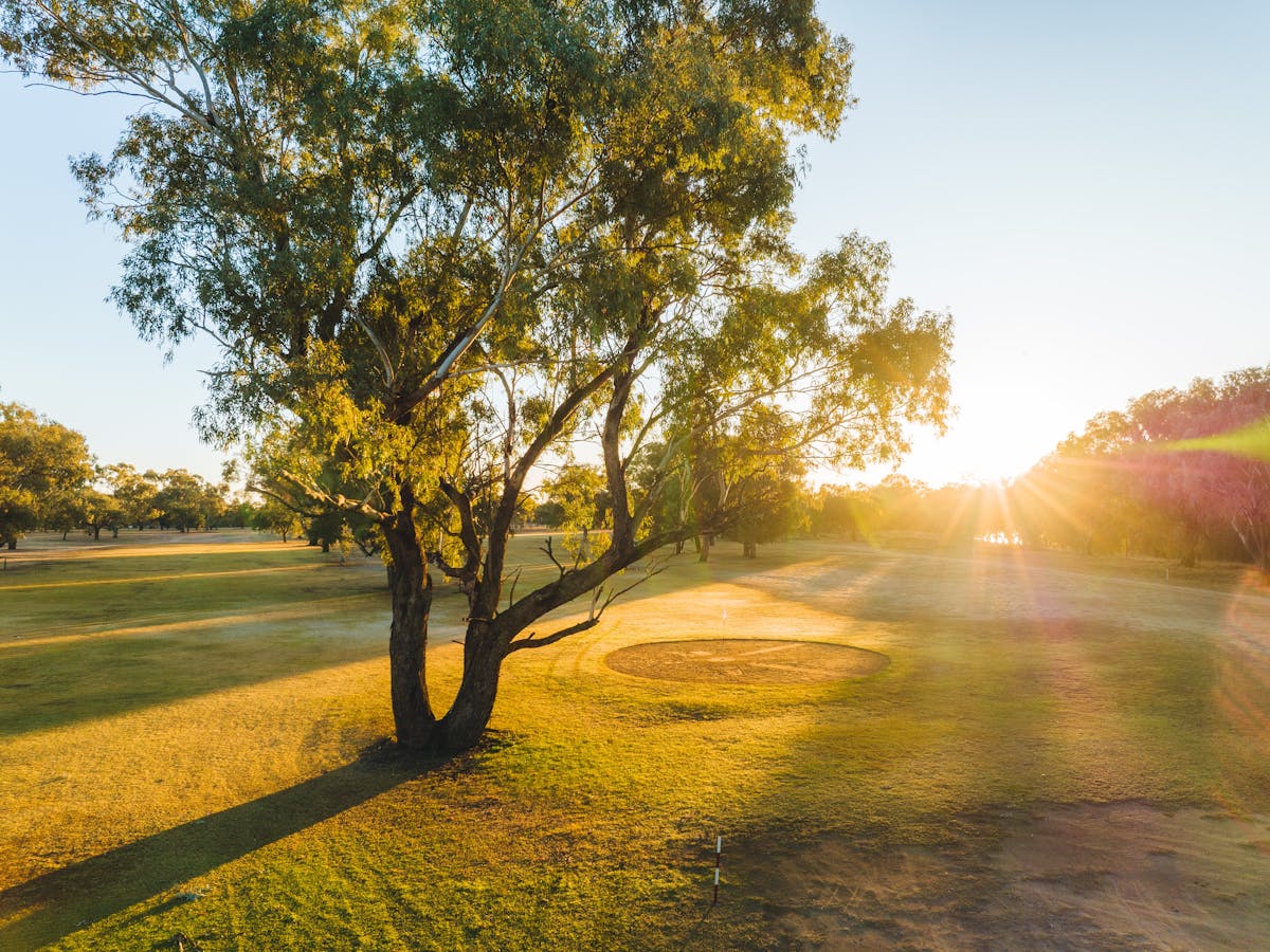 St George Golf Club St George Golf Club