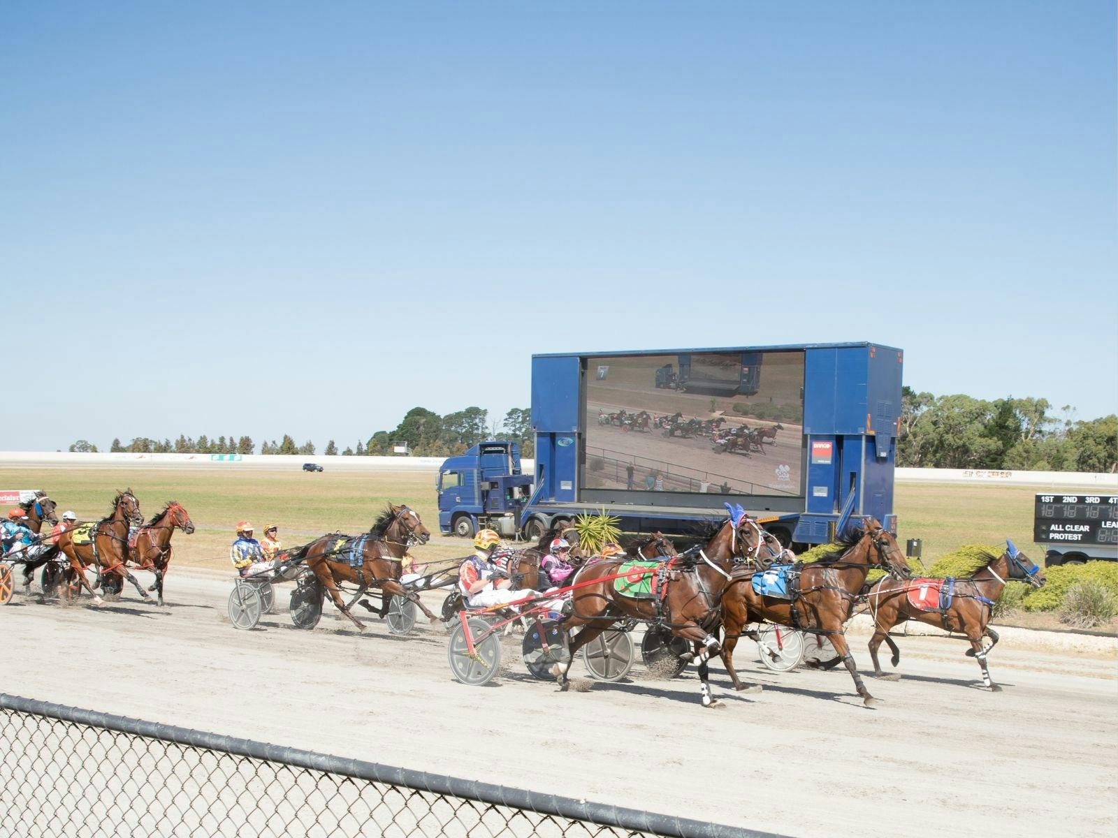 Hamilton Harness