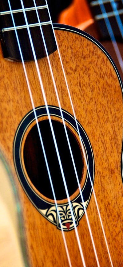 Instruments lined up