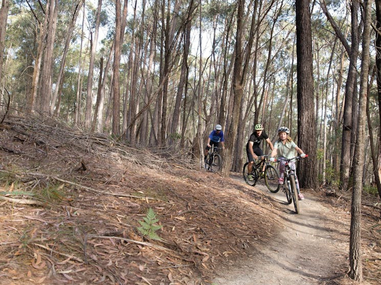 Family enjoying a day of riding on the 20km Bundadung Trail Network in Tathra