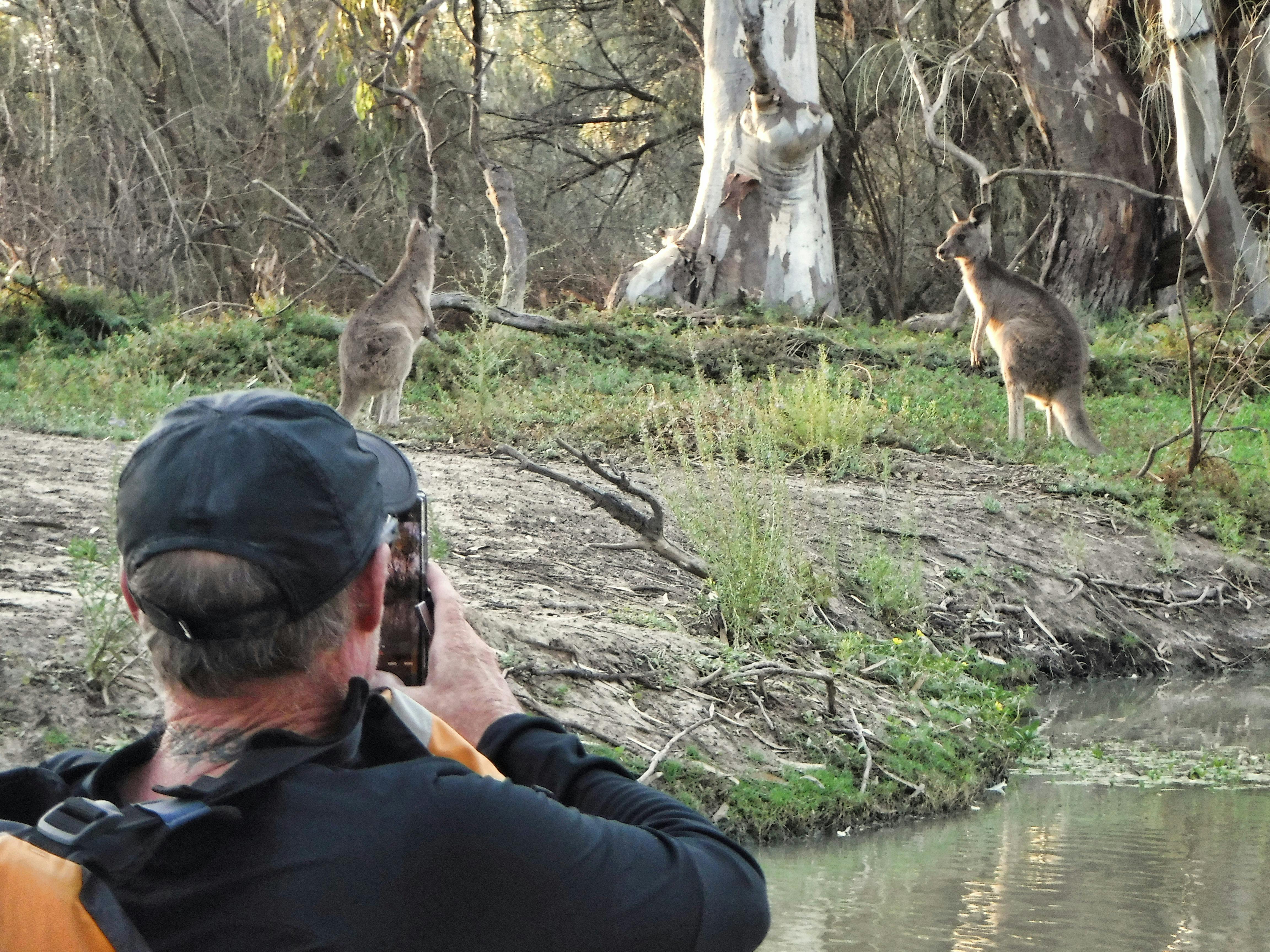 Drift quietly and soak up nature—just like this photographer catching kangaroos by the water.