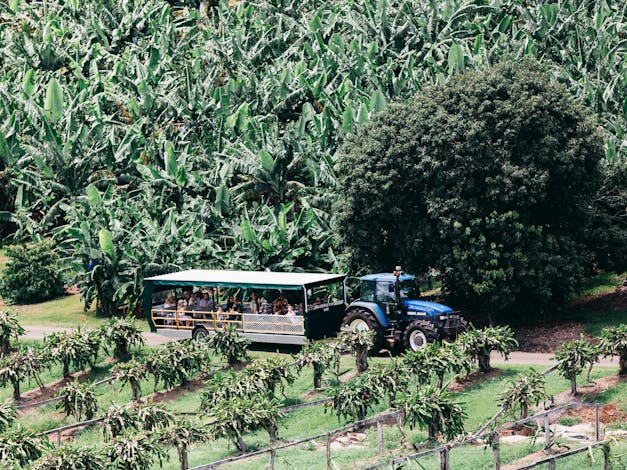 Tropical Fruit World