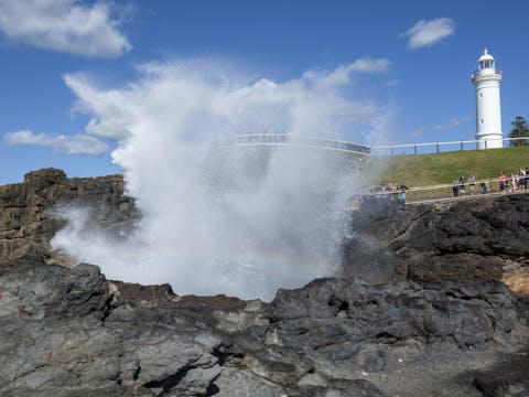 南海岸的葡萄酒、海浪和野生動物
