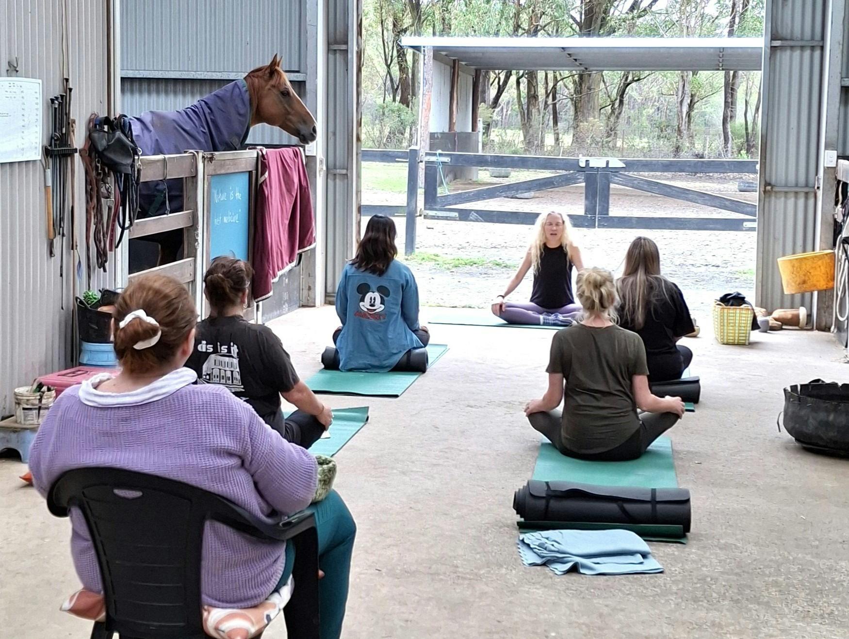 people practicing yoga in stables overlooked by horse