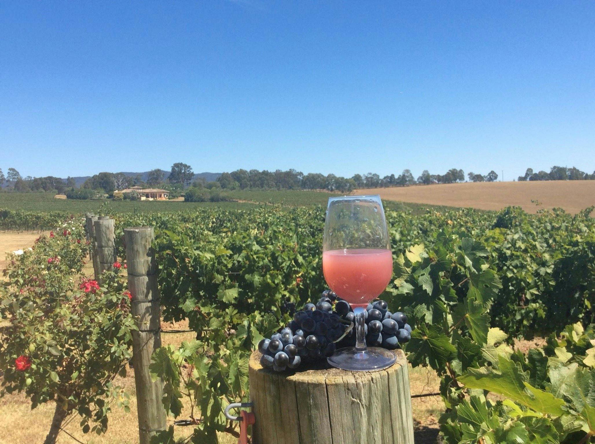 our beautiful grounds