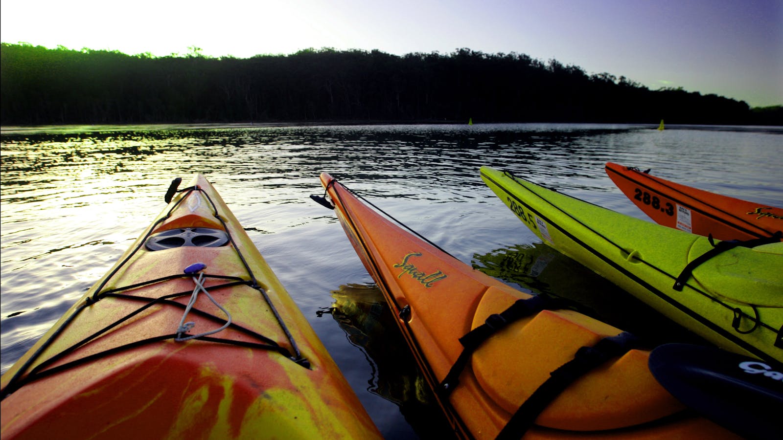 Bay and Beyond Sea Kayak Tours
