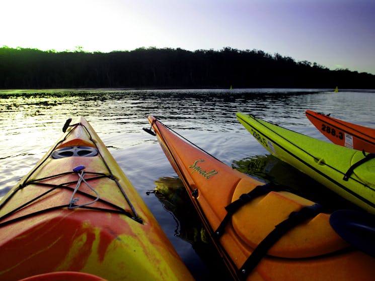 kayak hire rental rent sea kayak seakayak South Durras Batemans Bay nature tour tours