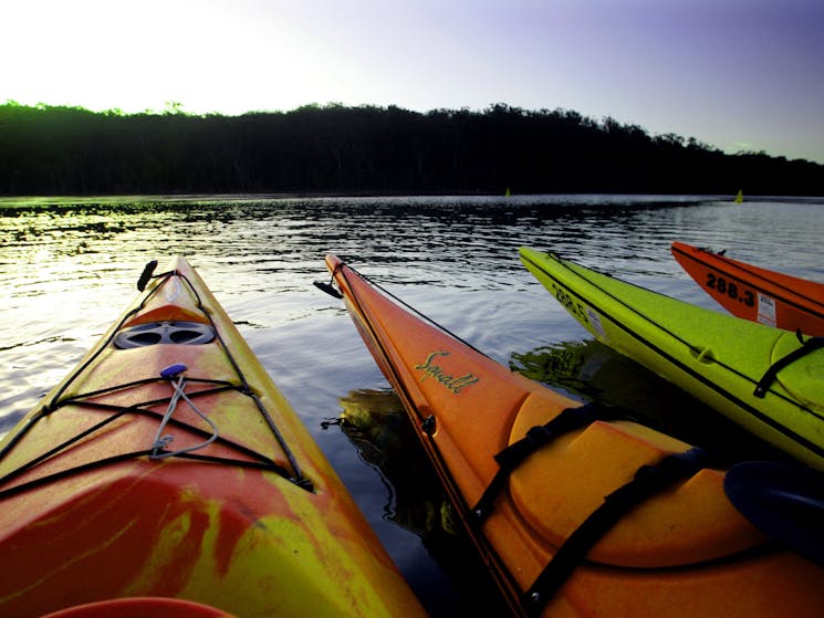 sea kayaking tours nsw