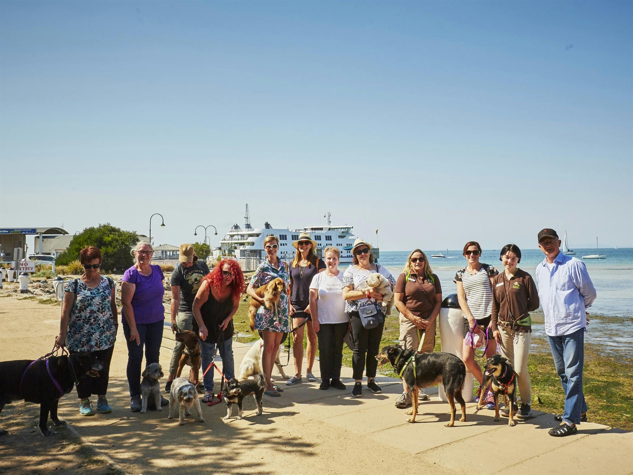 Around The Bay Doggy Trek