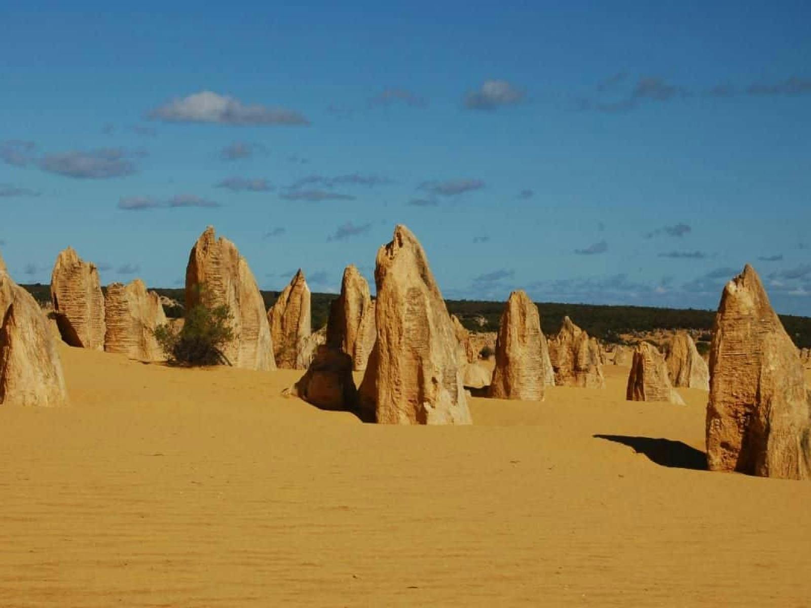 Pinnacles desert lookout and drive nambung national park
