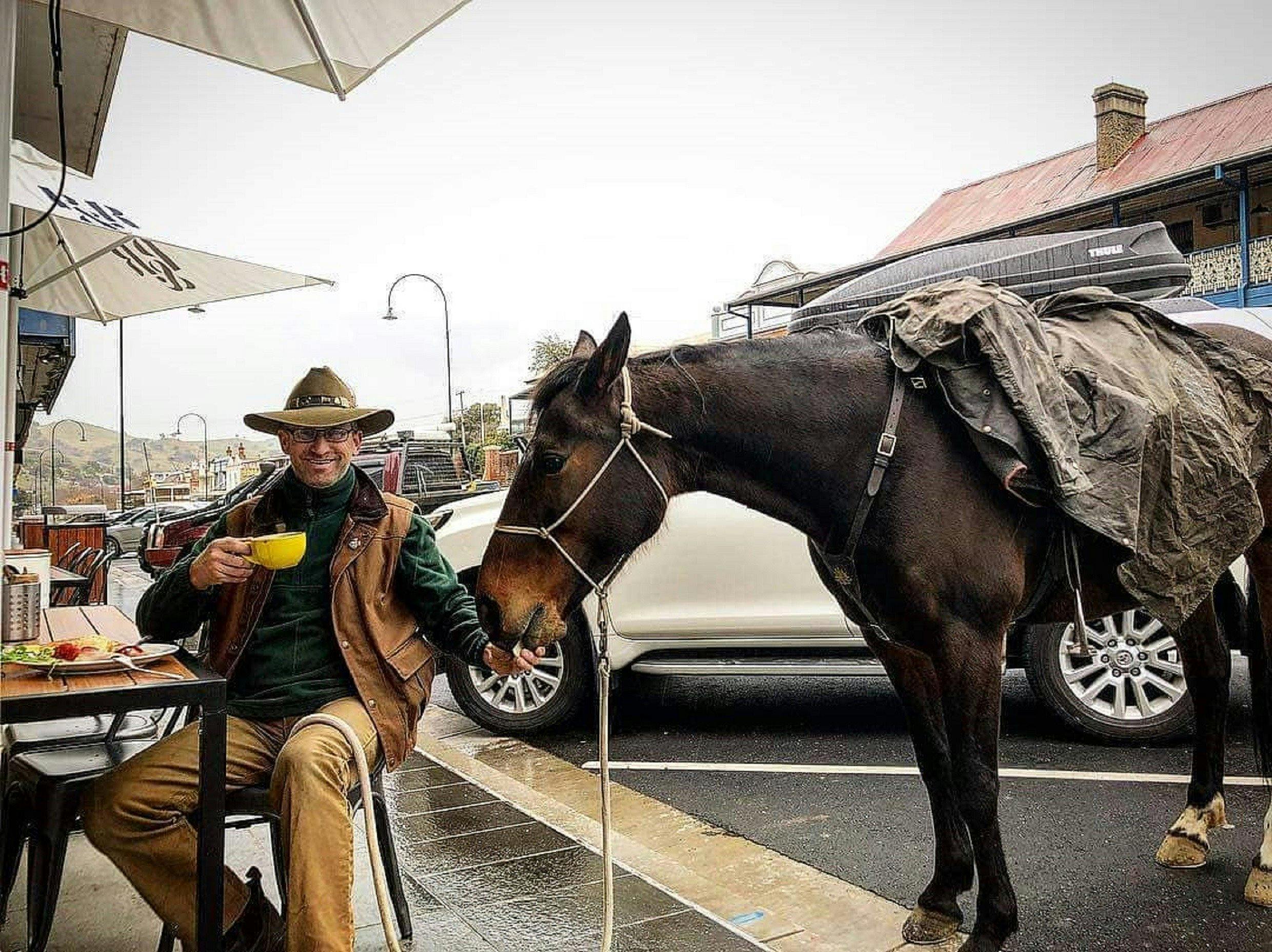 Horse at The Coffee Pedaler