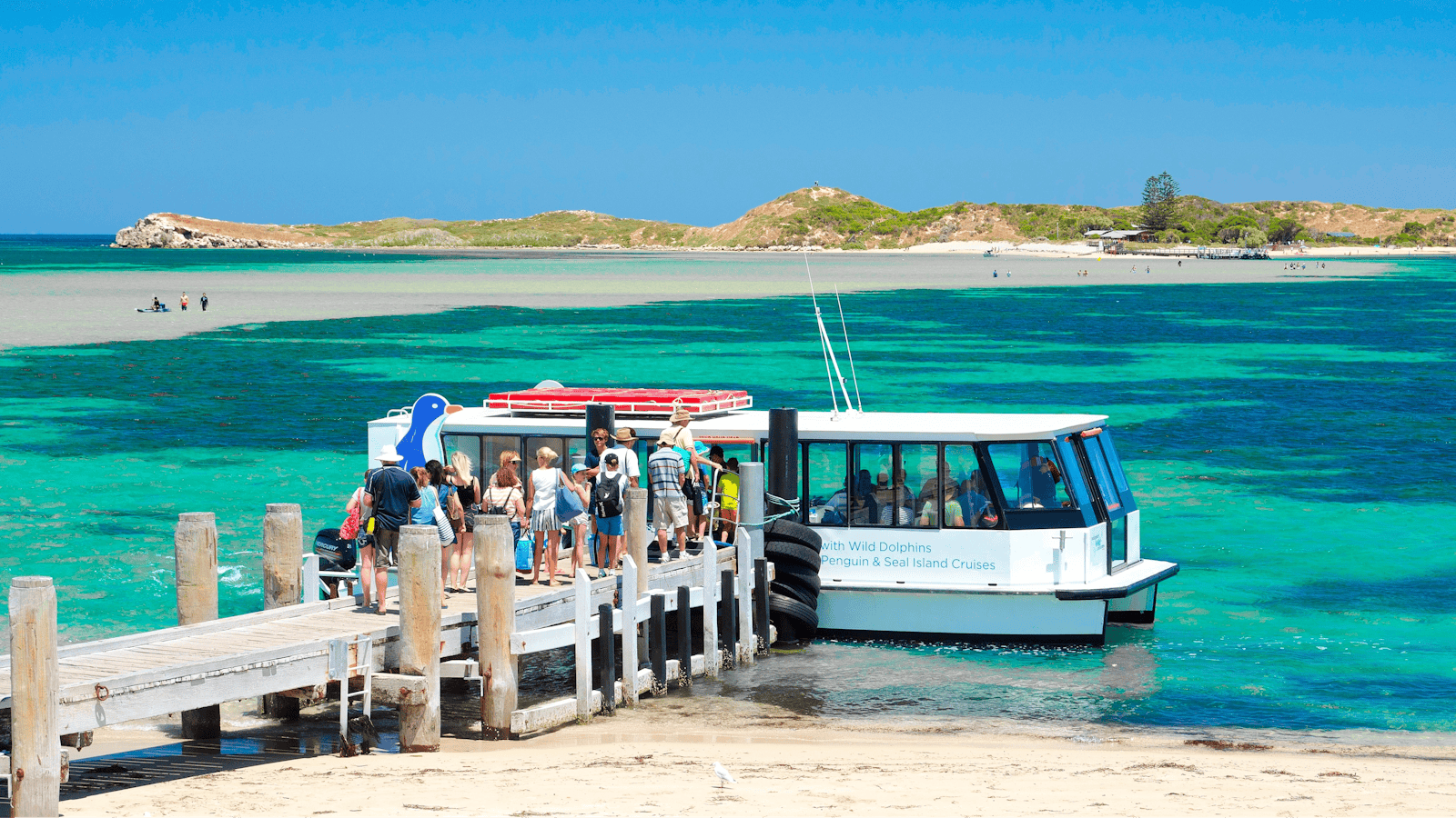 Penguin Island Cruises - Penguin Island Ferry and Cruises