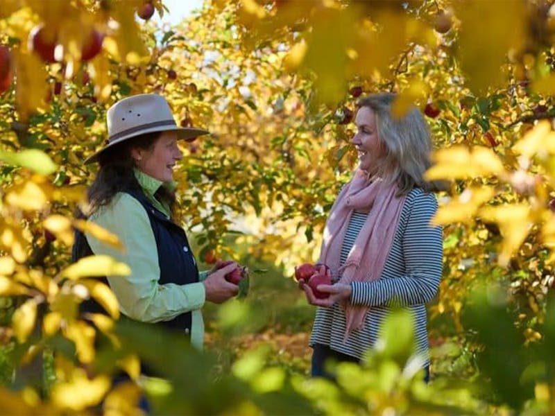 Image for AgriTourism Summit