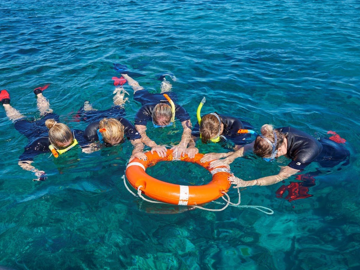 Guided Snorkel Tours