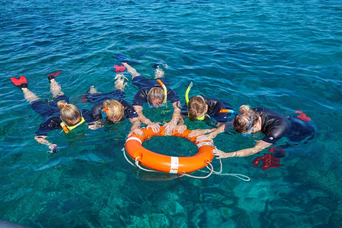 Guided Snorkel Tours