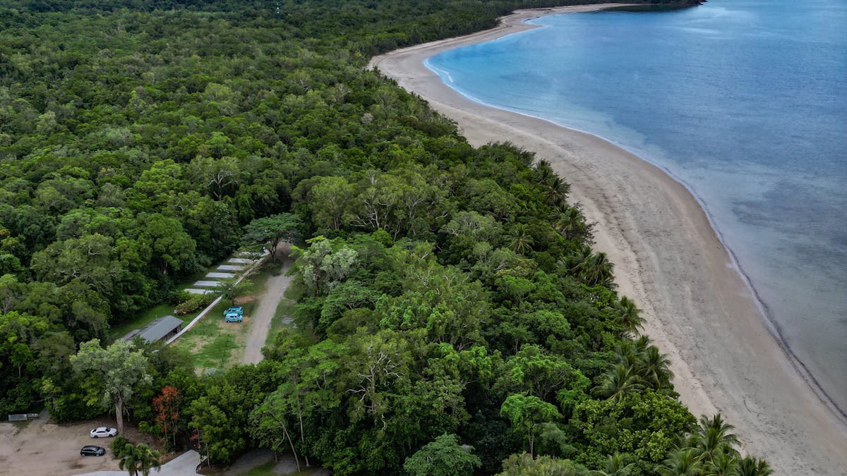 aerial view of park