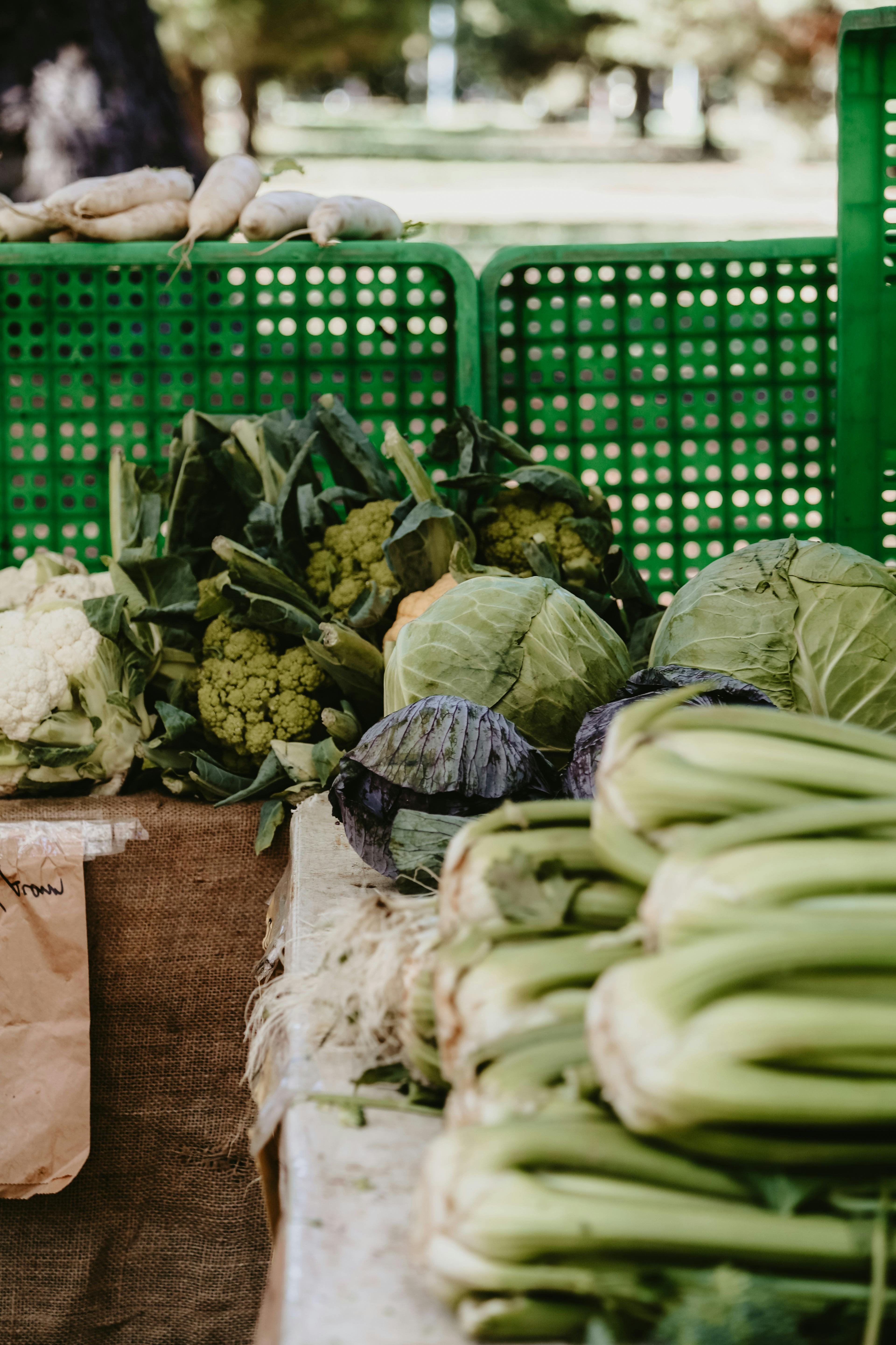 Produce at Haig Park Village Markets