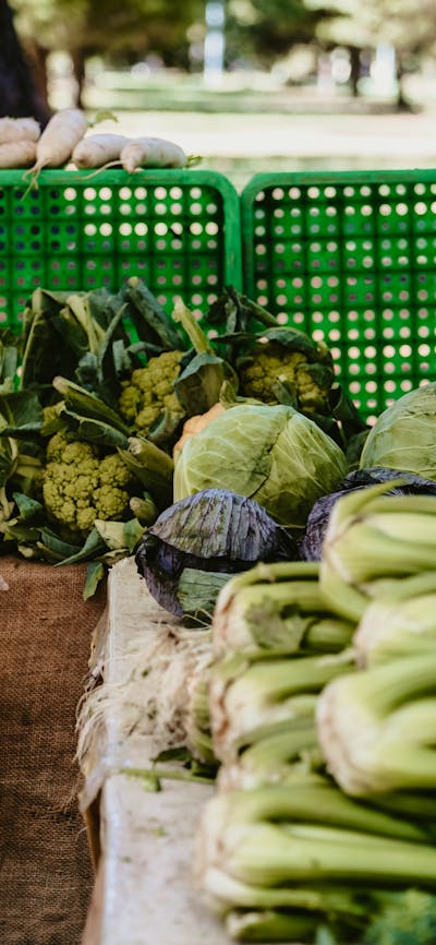Produce at Haig Park Village Markets