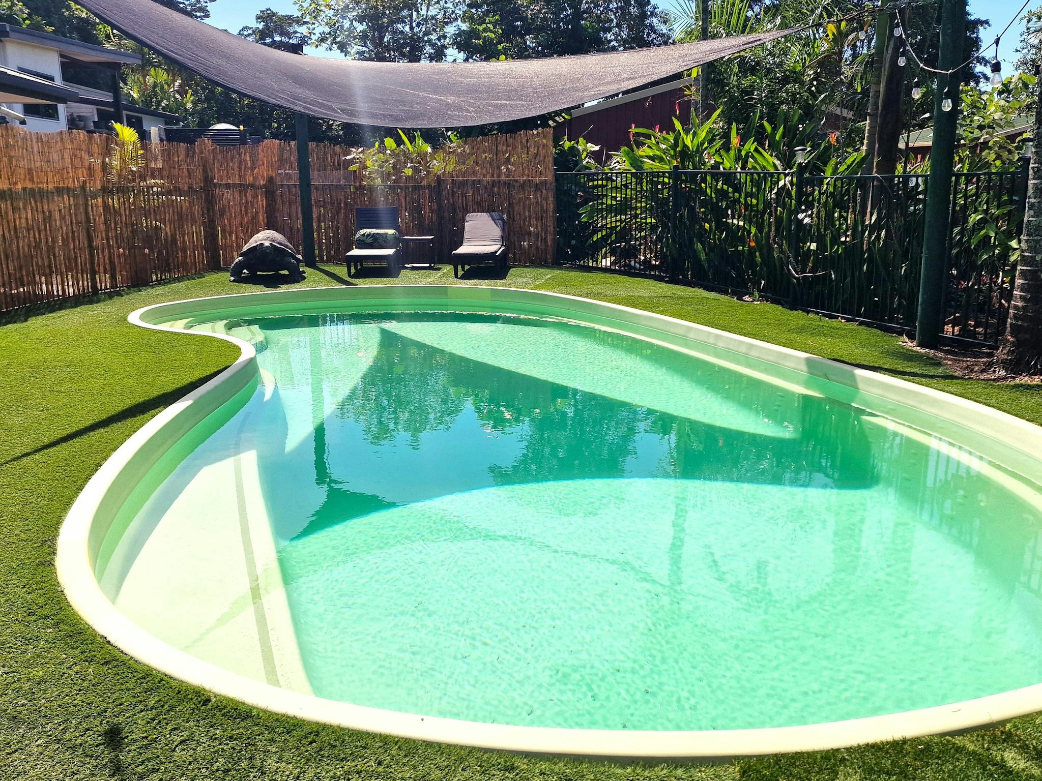Rainforest Motel Pool Rainforest Motel Pool