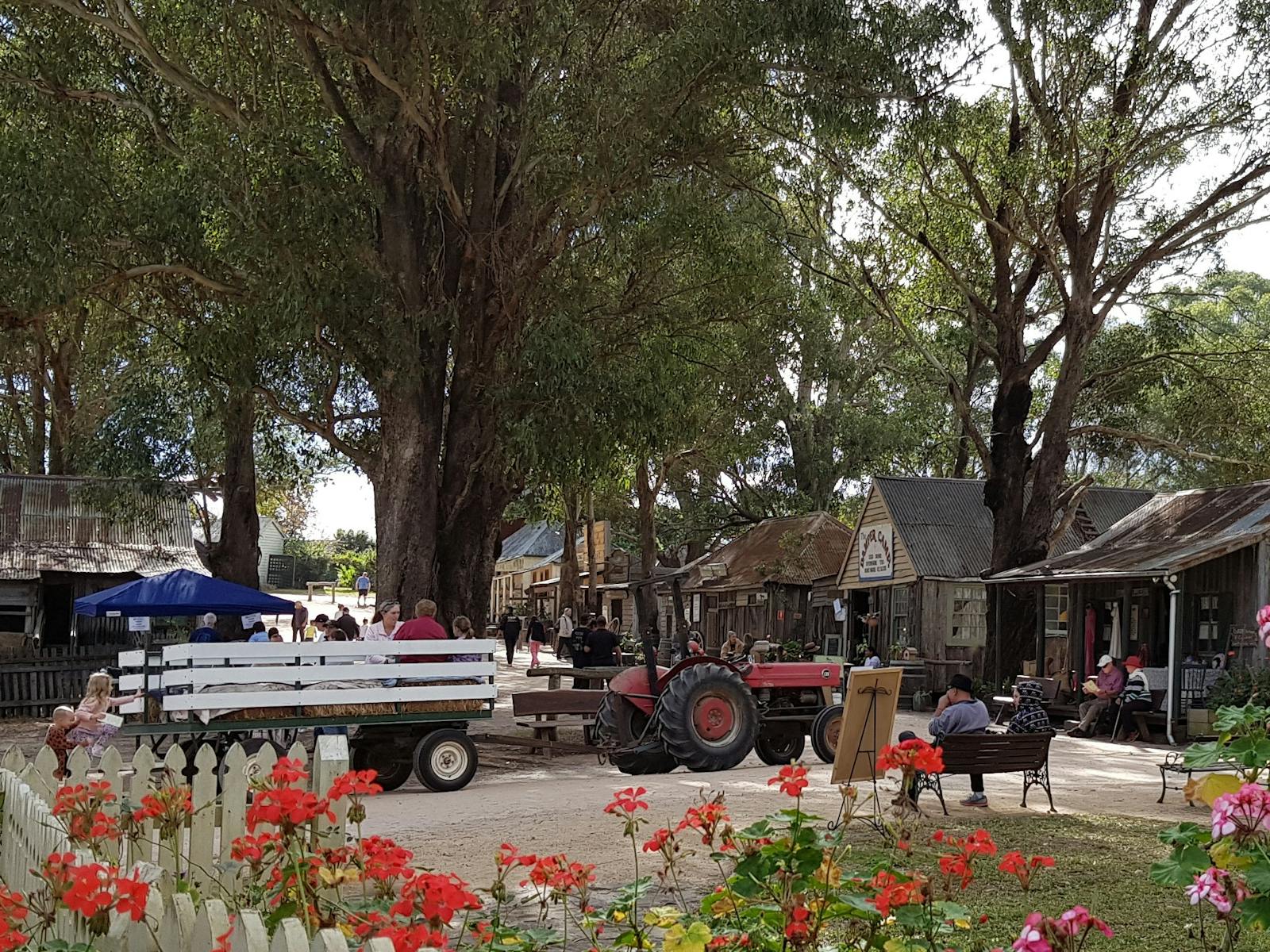 트랙터 건초를 타고 갈 준비가 된 메인 스트리트의 전망