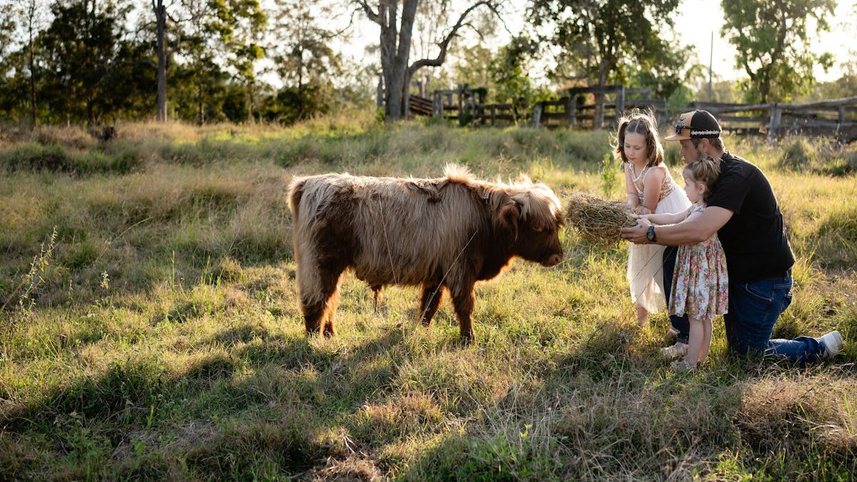 Highland Hideaway Experiences - Fathers Day- Highland Moos and Brews