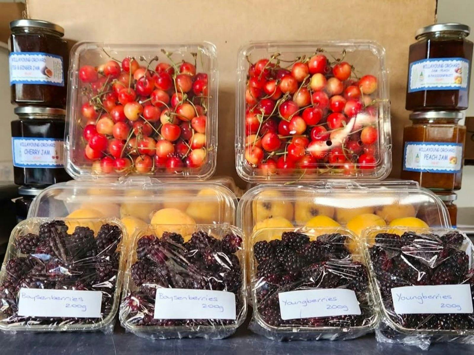 Boxes of white cherries, youngberries, boysenberries and jars of jams.