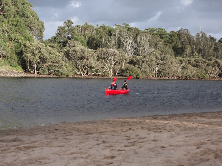 Canoeing at Minnamurra River with Gunmarra Aboriginal Experiences at Minnamurra River
