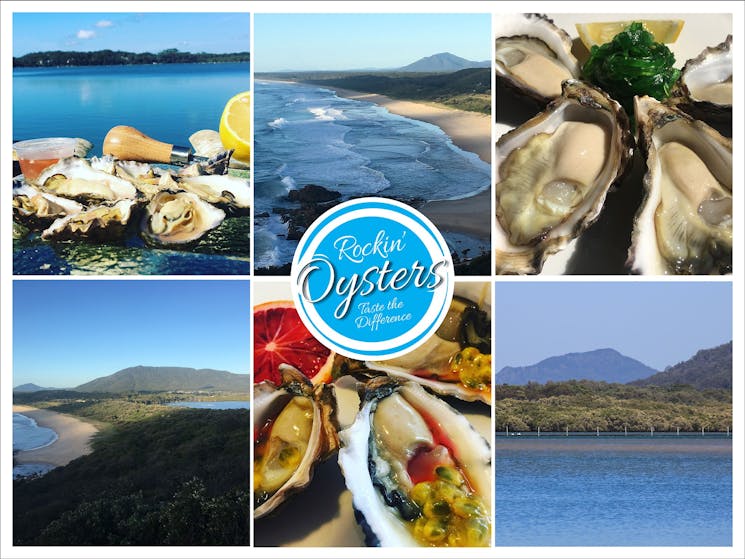 Rockin' Oysters