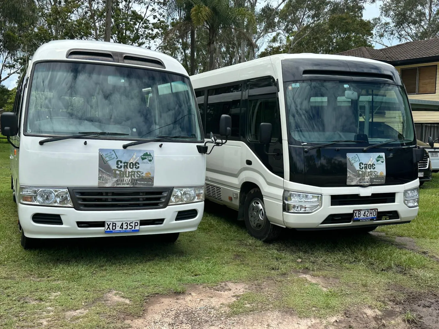 Croc Tours Buses