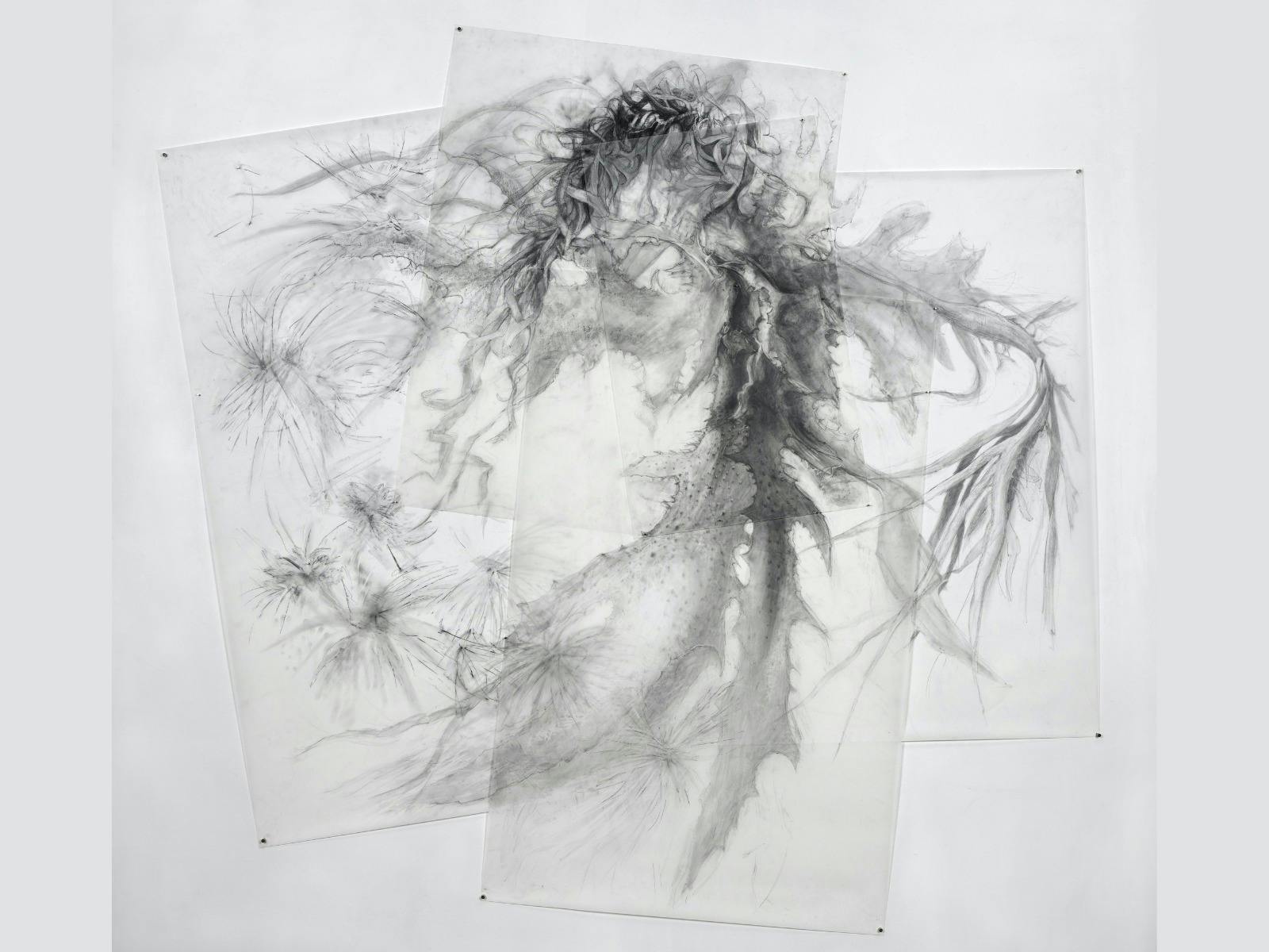 A Poem of the Sea - Cowra Regional Art Gallery