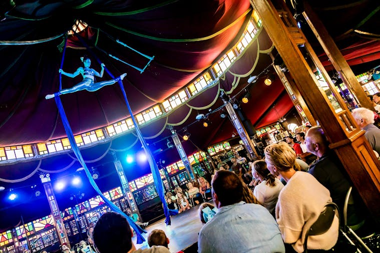 Circus Wonderland A Mermaids Tale