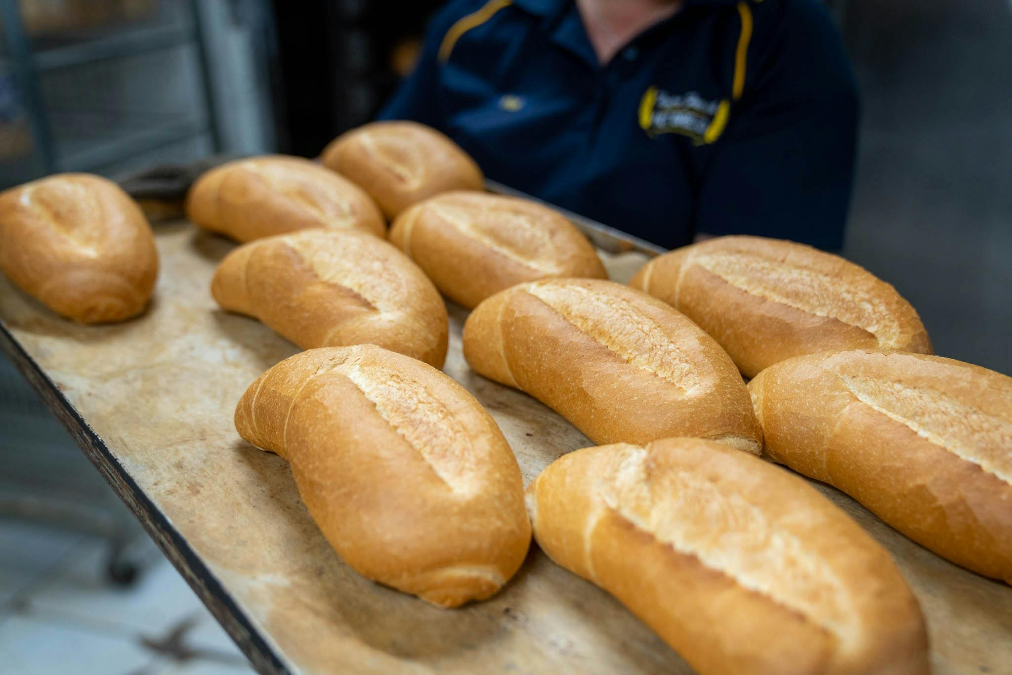 테모라 프렌치 핫 베이커리