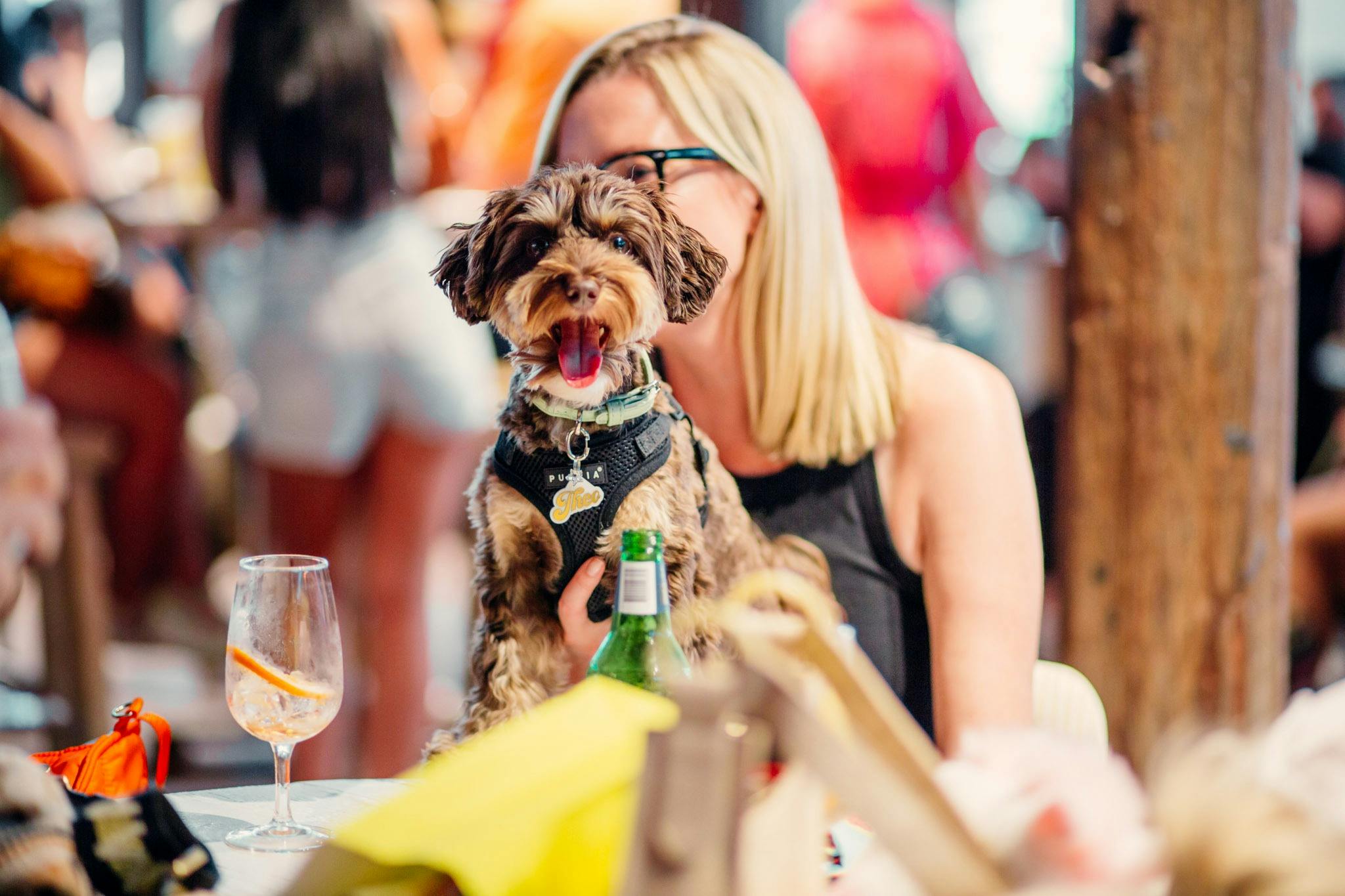 Eine Frau sitzt an einem Tisch im Freien mit einem glücklichen Hund auf dem Schoß