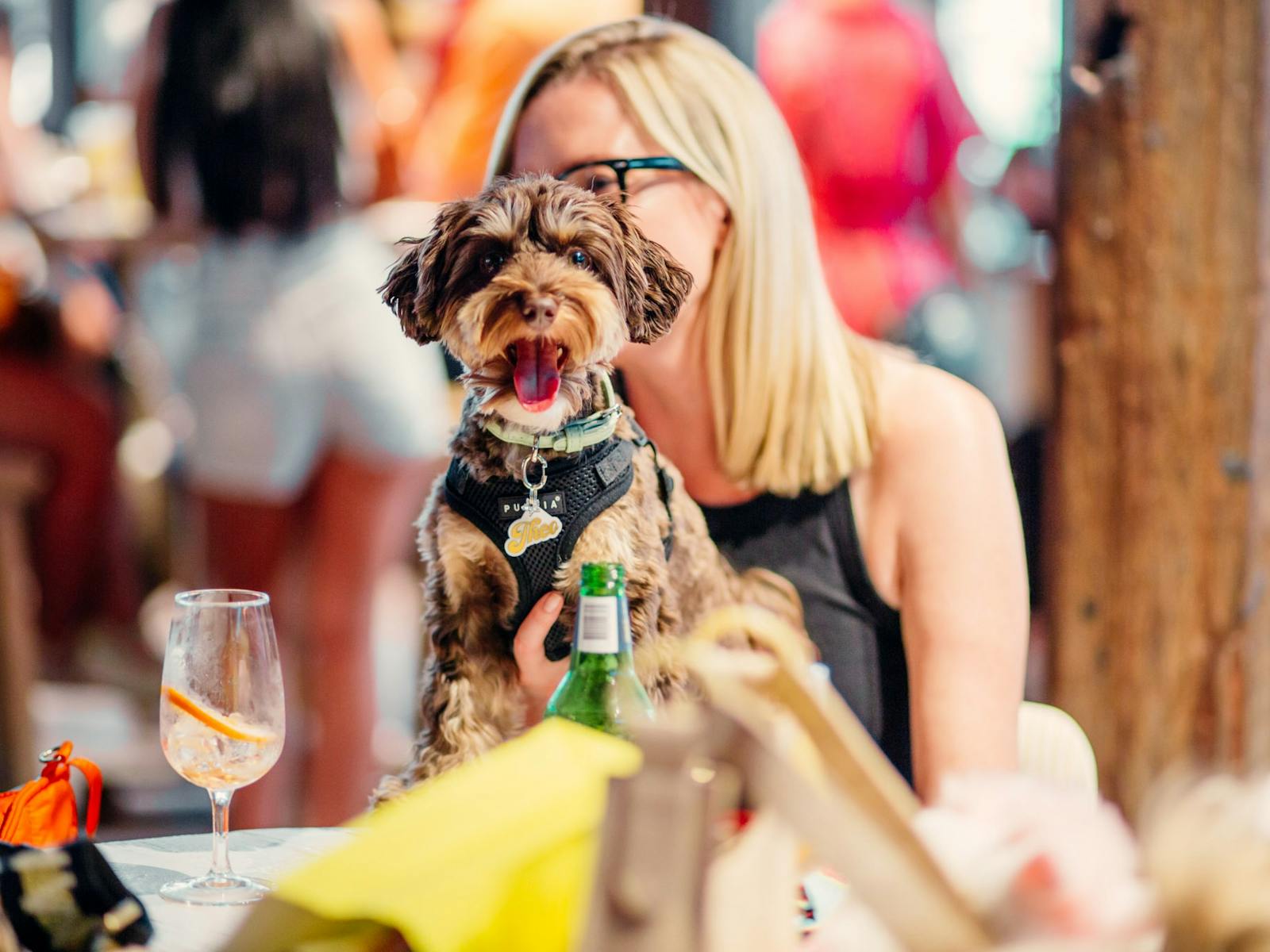 A woman sits at a table outdoors with a happy dog in her lap