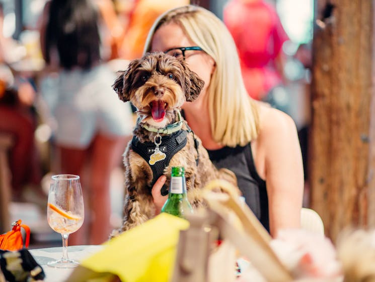 A woman sits at a table outdoors with a happy dog in her lap