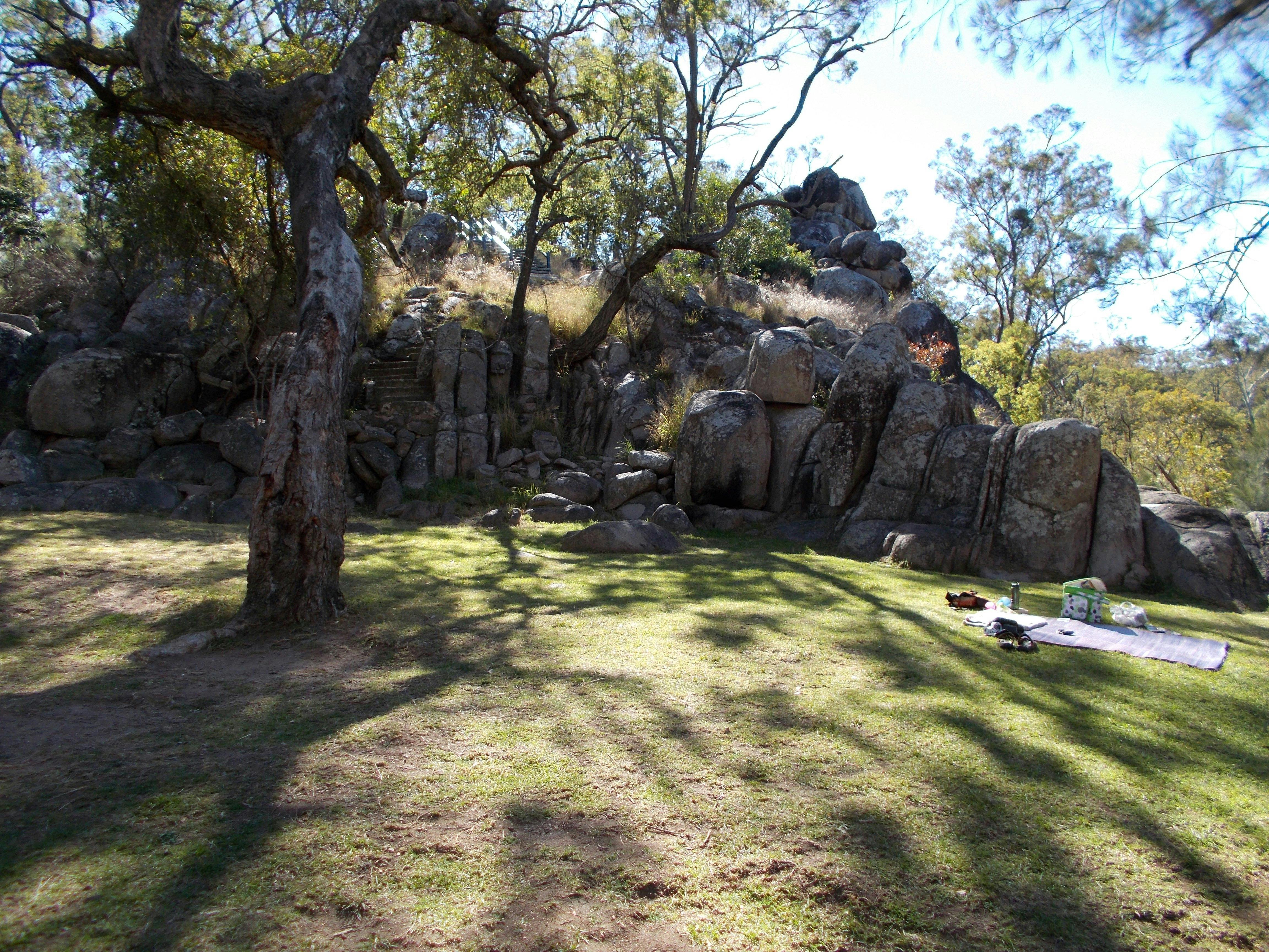 grassy area at Coomba Falls swimming hole