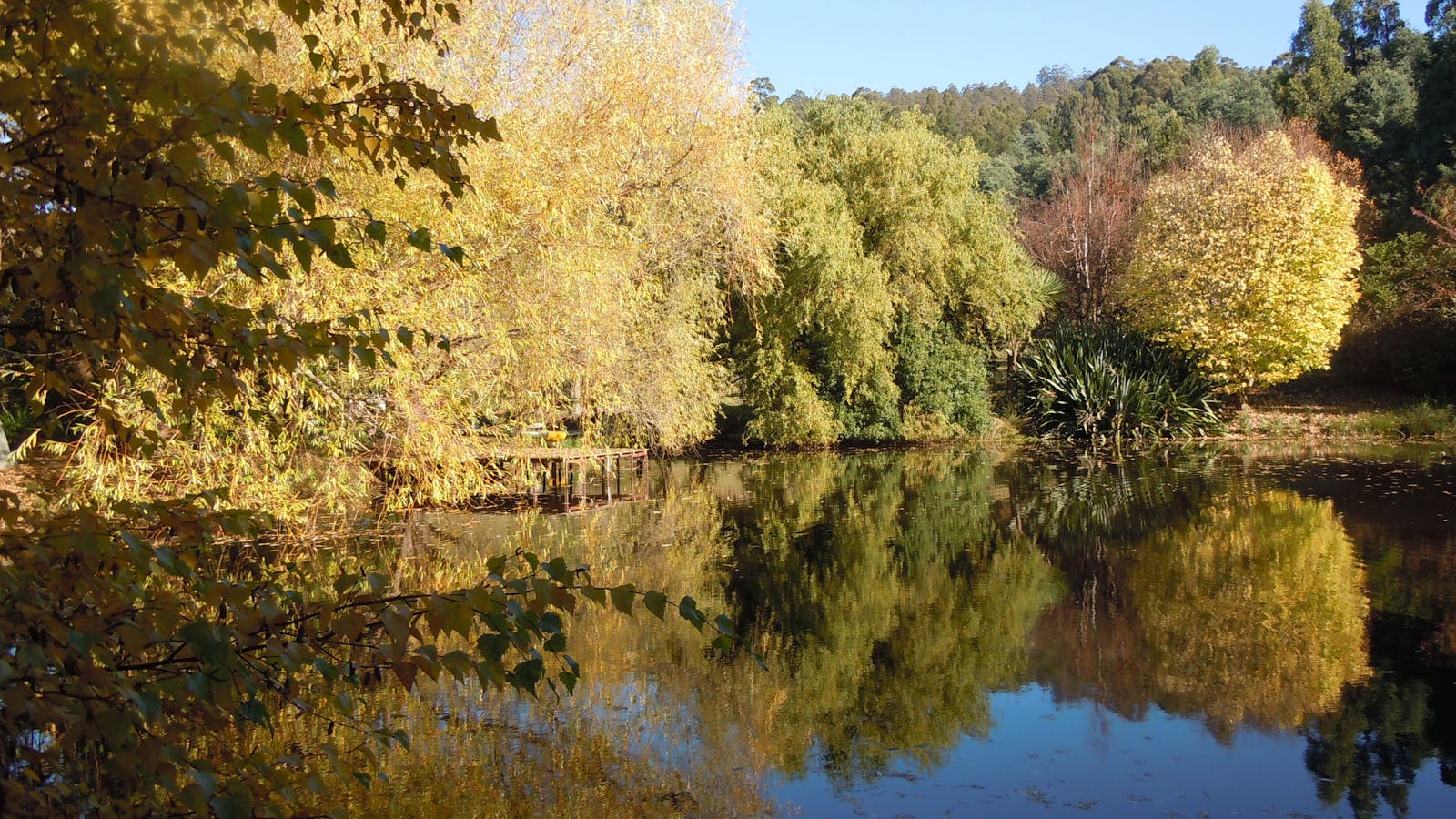 Gardens and Dam