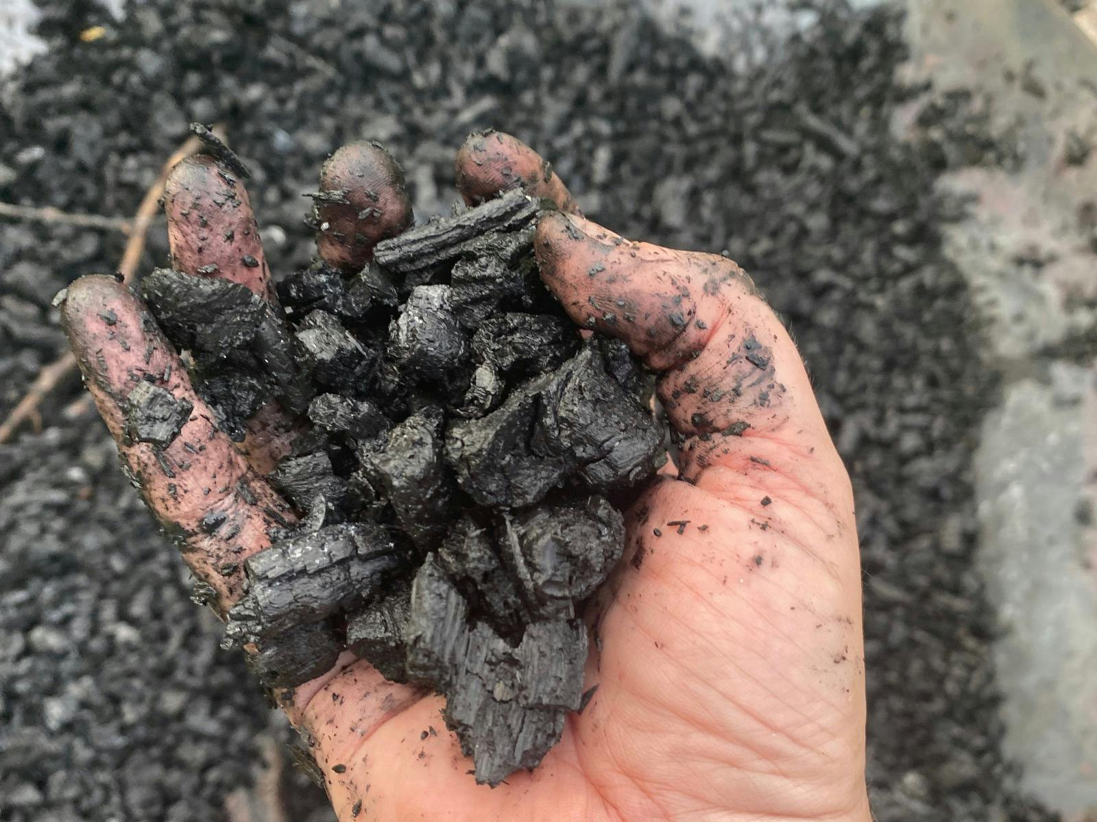 A handful of biochar
