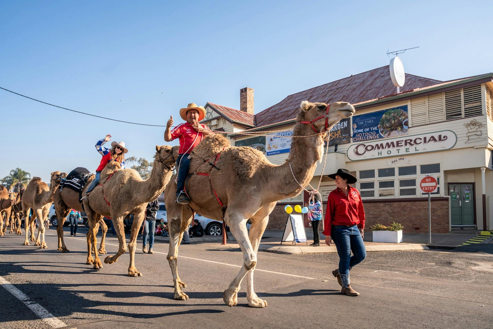 Camels with jockeys waving on main street in front of pub
