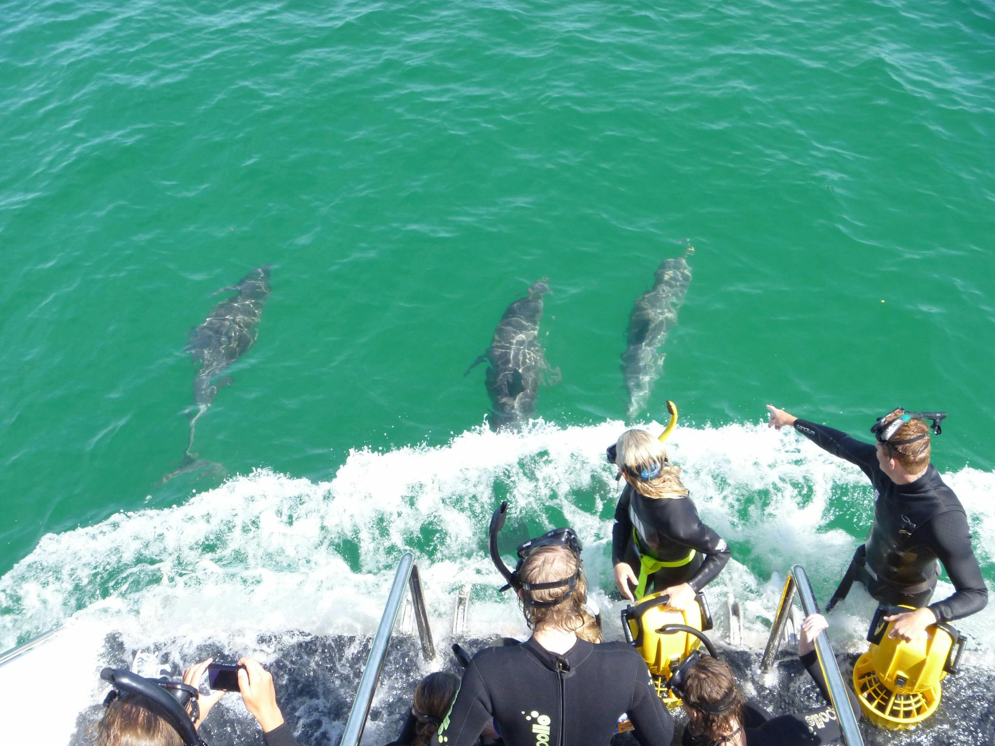 Rockingham Wild Encounters, Rockingham Beach, Western Australia