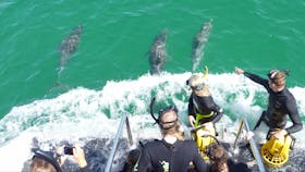 Rockingham Wild Encounters, Rockingham Beach, Western Australia