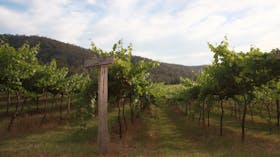 Stonehurst Cedar Creek Wines