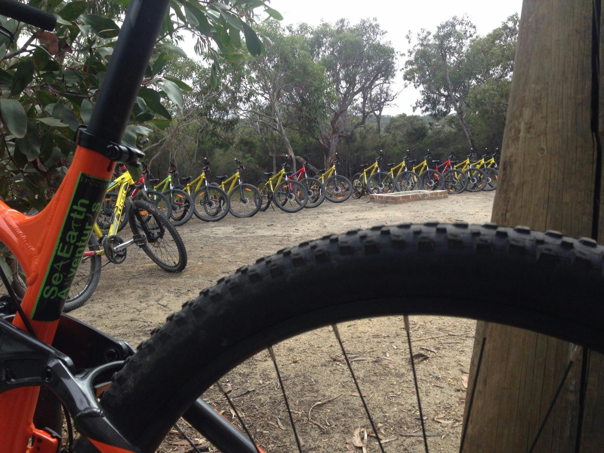 Mountain Bike Tours