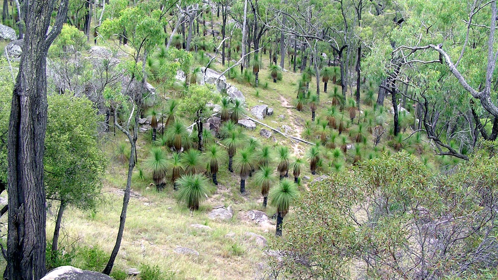 Coomba Falls
