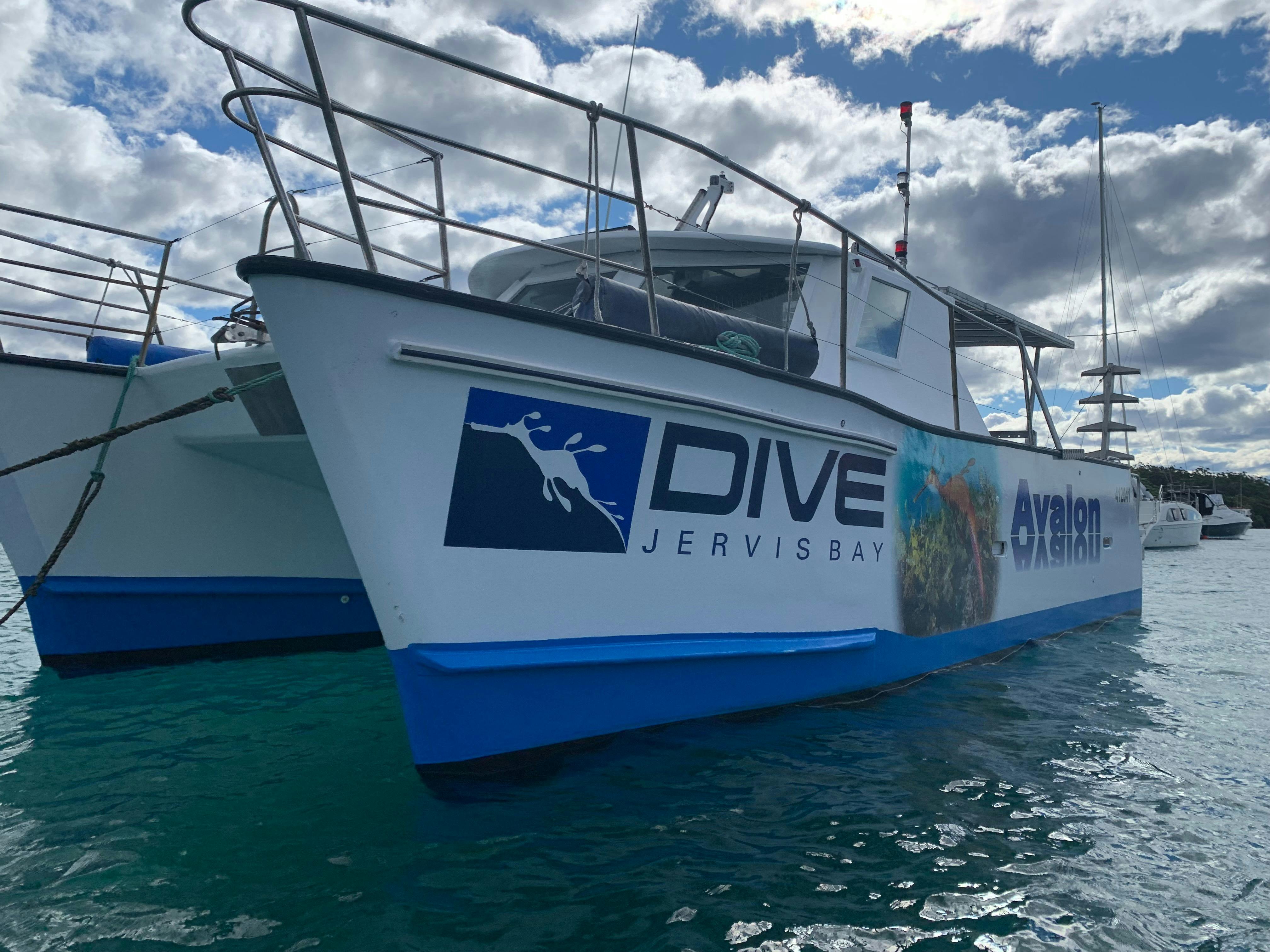 Our Dive Boat Avalon