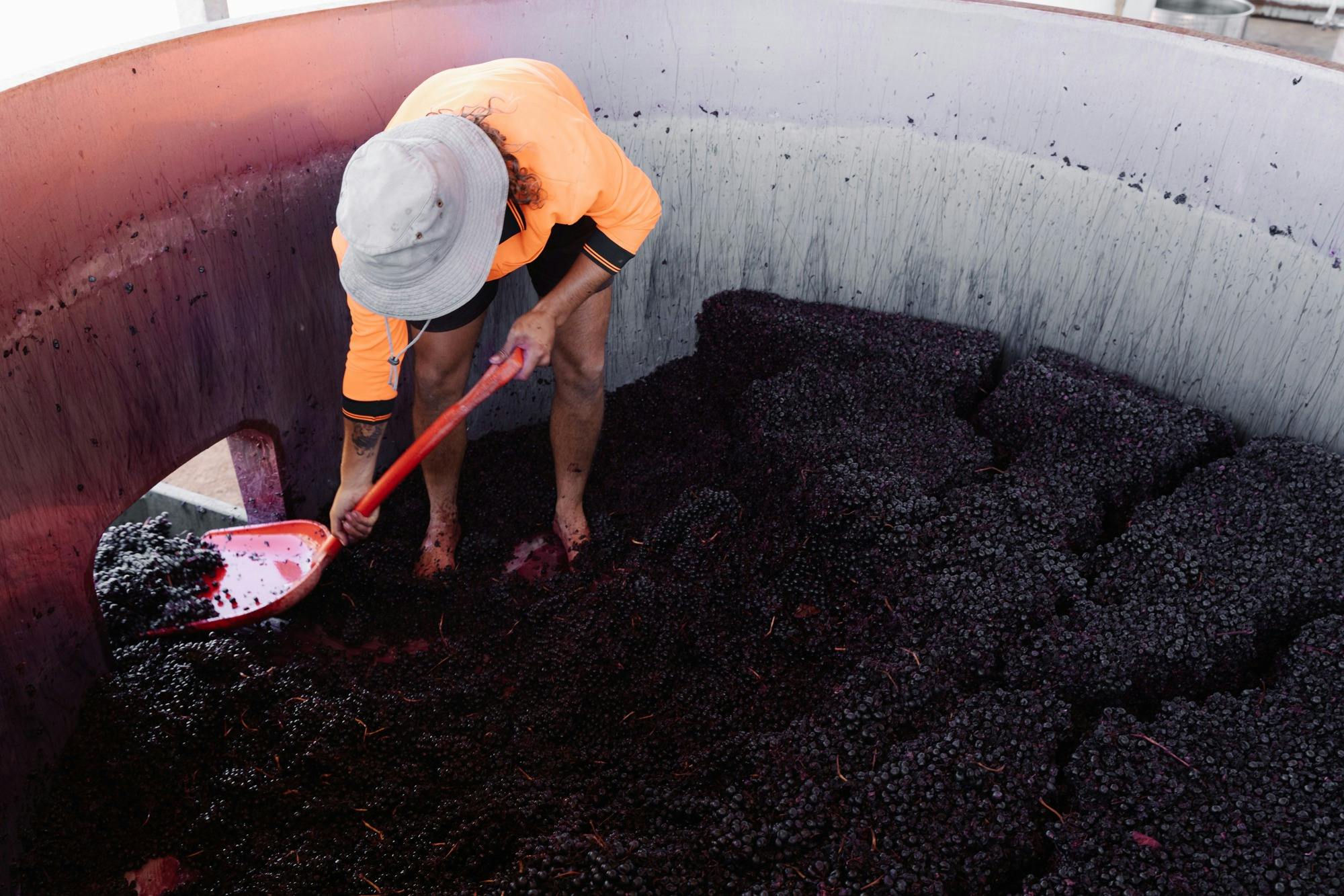 Juniper Estate vintage 2024