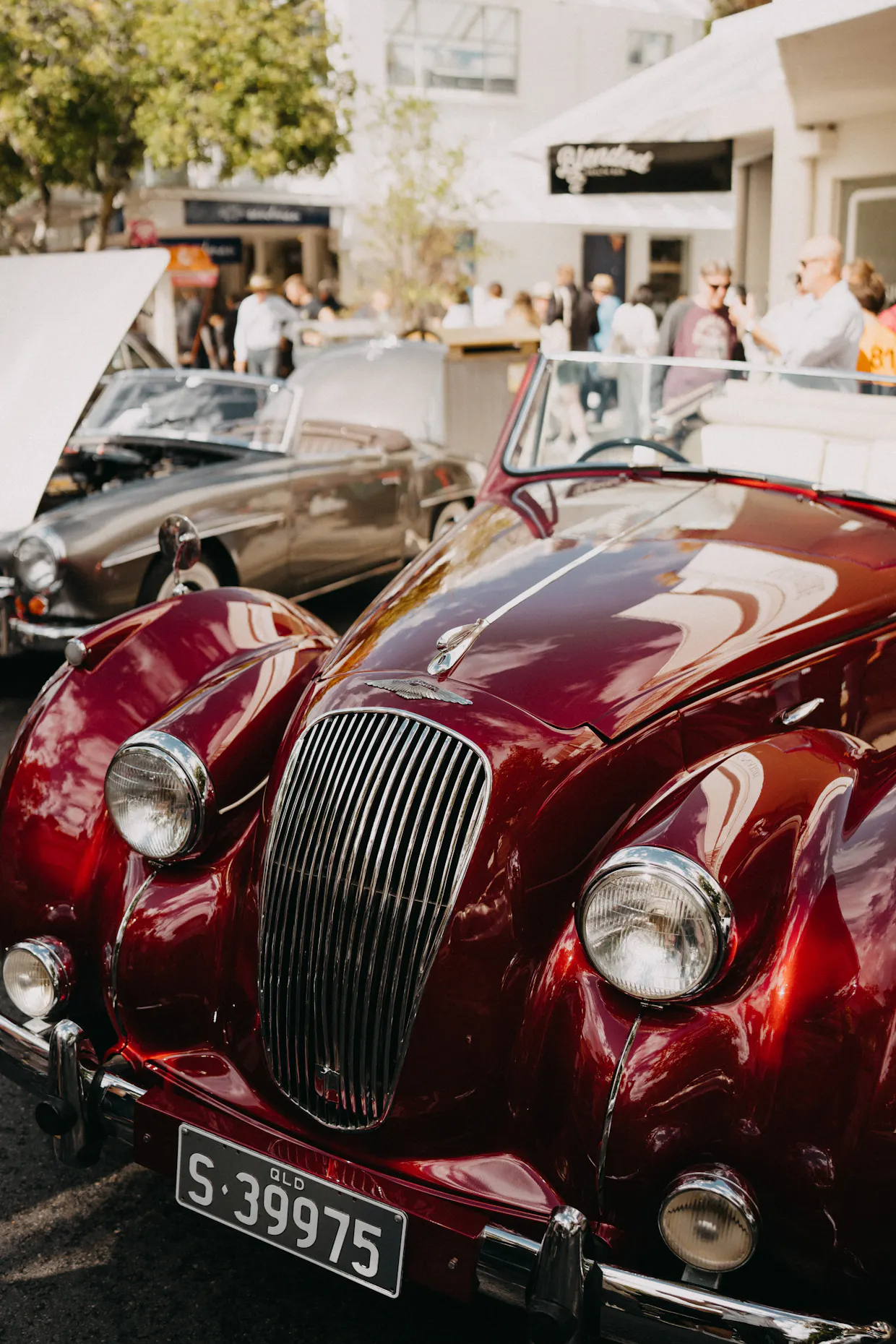 Noosa Concours d'Elegance