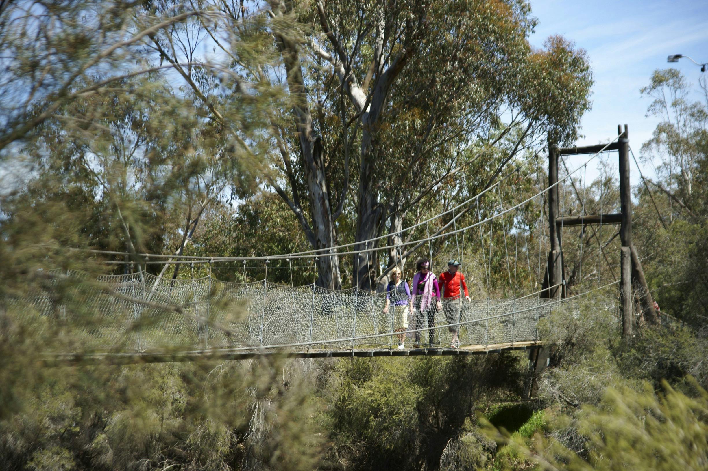 Wave Rock Wildflower Trail, York, Western Australia